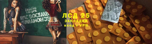 ПСИЛОЦИБИНОВЫЕ ГРИБЫ Аркадак