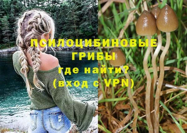 ПСИЛОЦИБИНОВЫЕ ГРИБЫ Аркадак