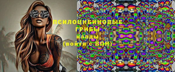 дурь Арсеньев