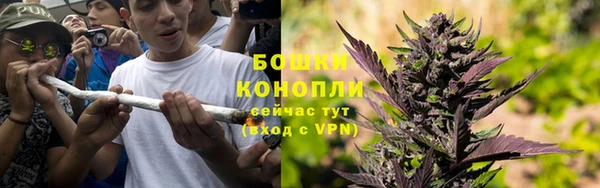 дурь Арсеньев
