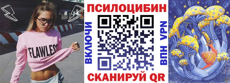 что такое   Сысерть  Галлюциногенные грибы Psilocybe 