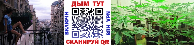 Конопля конопля  Сысерть 